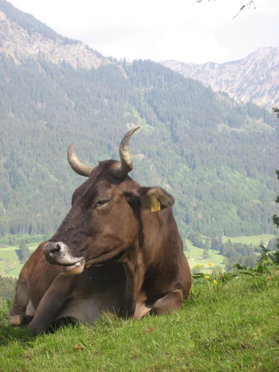 Ferienwohnungen Brunner Fischen im Allgaeu Εξωτερικό φωτογραφία